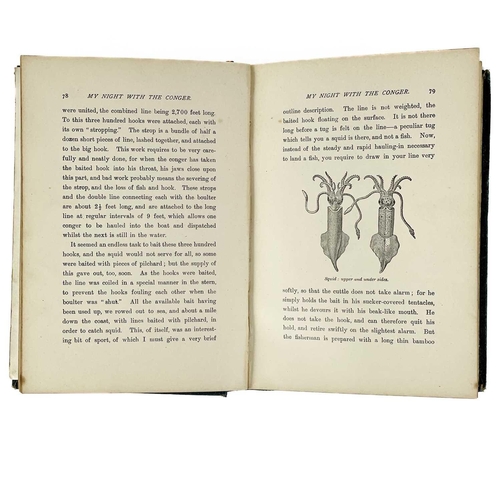 152 - Three works with flora and wildlife interest. Edward Step F.L.S. 'A Naturalists Holiday, Idle Hours ... 