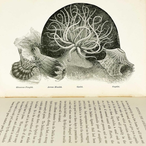 152 - Three works with flora and wildlife interest. Edward Step F.L.S. 'A Naturalists Holiday, Idle Hours ... 