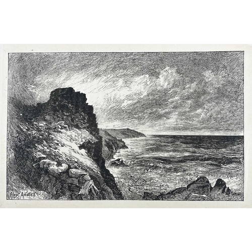 174 - JOHN LLOYD WARDEN PAGE The Coasts of Devon and Lundy Island Horace and Cox, London, of this edition ... 