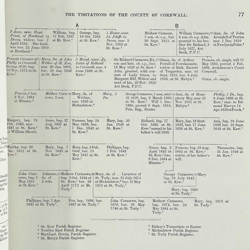 480 - Lieutenant-Colonel J. L. Vivian. 'The Visitations of Cornwall,' 1887. 'Comprising the Heralds Visita... 