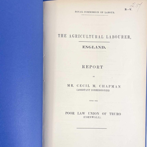 498 - Cecil M. Chapman. 'The Agricultural Labourer'. Poor Law Union of Truro, report, 1893, 13 pages.