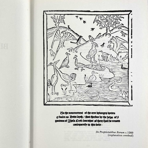 546 - Ornithology in Cornwall. Two works. Hilda M. Quick. 'Marsh and Shore. Bird Watching on the Cornish C... 