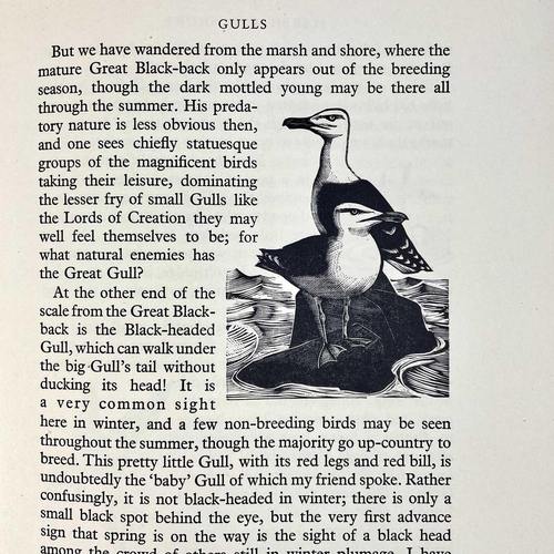 546 - Ornithology in Cornwall. Two works. Hilda M. Quick. 'Marsh and Shore. Bird Watching on the Cornish C... 