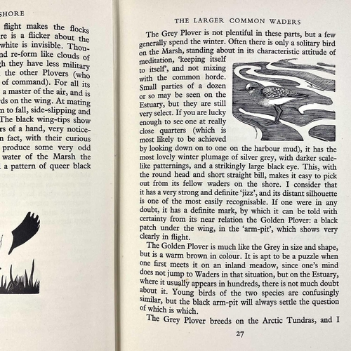 546 - Ornithology in Cornwall. Two works. Hilda M. Quick. 'Marsh and Shore. Bird Watching on the Cornish C... 