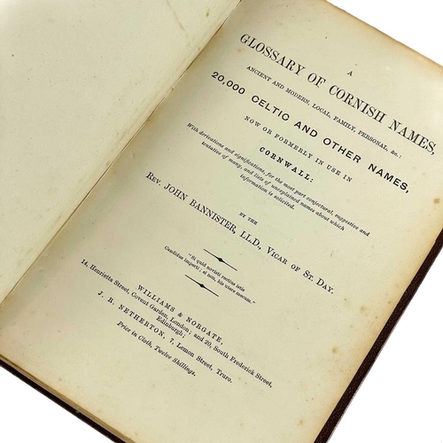 646 - Rev. John Bannister (Vicar of St Day). 'A Glossary of Cornish Names Ancient and Modern, Local, Famil... 