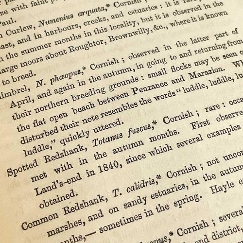 679 - Edward Hearle Rodd., 1864. 'A List of British Birds as a Guide to the Ornithology of Cornwall, Espec... 