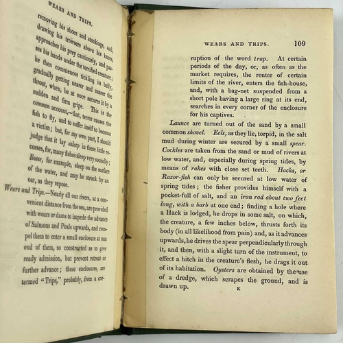 686 - John Cremer Bellamy (Surgeon). 'The Housekeepers Guide to the Fish Market'. 'For Each Month of the Y... 