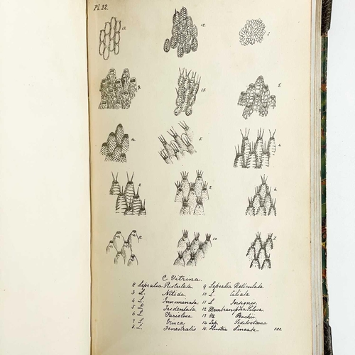 744 - Jonathan Couch. 'A Cornish Fauna'. 'Being a Compendium of the Natural History of the County,' parts ... 