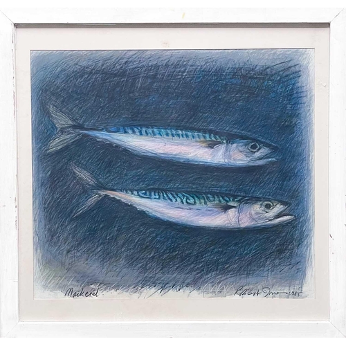 138 - Robert JONES (1943) Mackerel, 1985 Pencil, pastel and wash on paper Signed, titled and dated 39 x 44... 