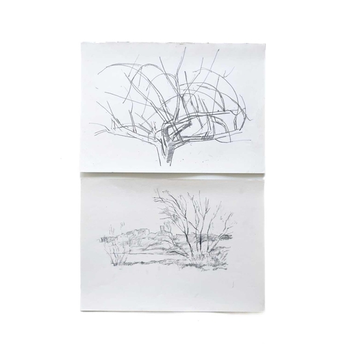 162 - Paul MOUNT (1922-2009) Trees Fourteen sketches, only one is signed, mostly 41x29.5cm a few smaller