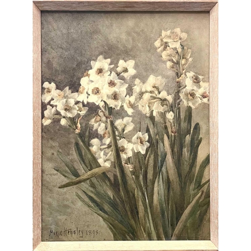 615 - Marie HENSLEY (c.1856-1911) Daffodils Watercolour, signed and dated 1898, 38 x 28cm. Together with a... 