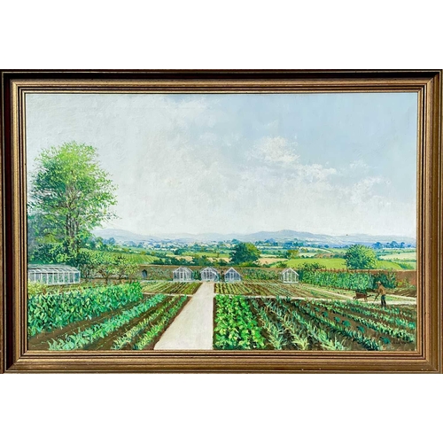 64 - John MILLER (1931 – 2002) Walled garden at Maidenwell looking towards Brown Willy (Bodmin Moor Cornw... 