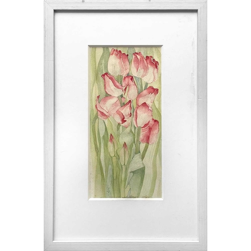 662 - Sheila TOLLEY (1939) Pink Tulips Watercolour, monogrammed, inscribed to verso, 31 x 14.5cm.