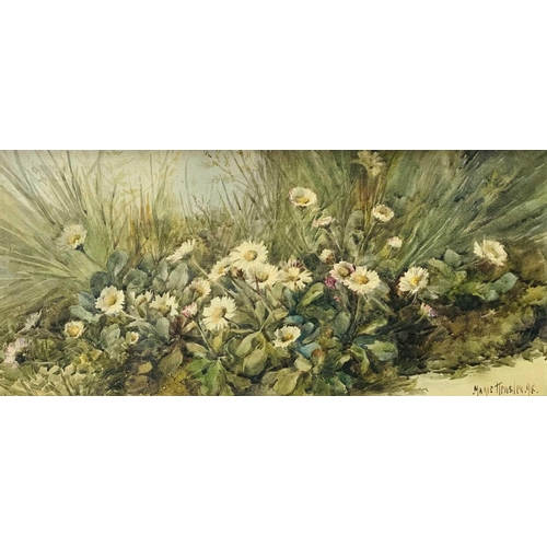 678 - Marie HENSLEY (c.1856-1911) Daisies Watercolour, signed and dated '98, 19.5 x 41cm. Together with a ... 