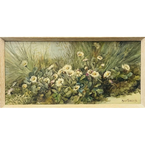 678 - Marie HENSLEY (c.1856-1911) Daisies Watercolour, signed and dated '98, 19.5 x 41cm. Together with a ... 