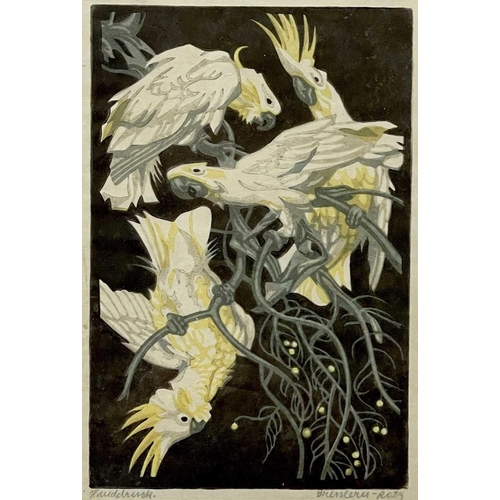 682 - Norbertine VON BRESSLERN-ROTH (1891-1978) Cockatoos, c1920s Linocut Signed Image size 24 x 16cm This... 