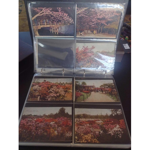 126 - A collection of Japanese postcards, early 20th century. Two hundred and sixty seven Japanese postcar... 