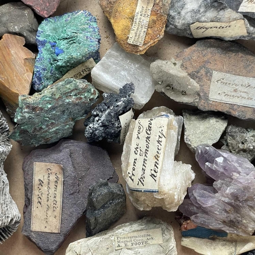 256 - A large collection of minerals and fossils. Some labeled, A collection of minerals and fossils conta... 