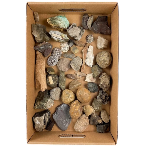 256 - A large collection of minerals and fossils. Some labeled, A collection of minerals and fossils conta... 