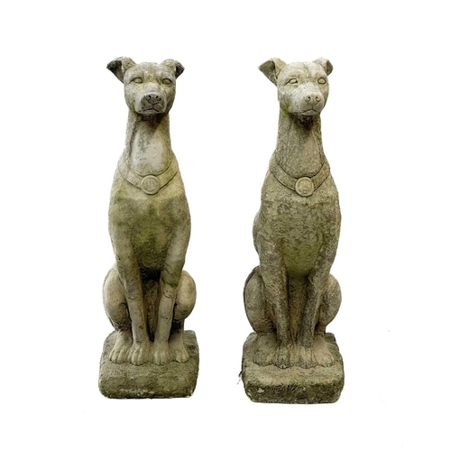 352 - A pair of reconstituted stone figures of whippets. Height 75cm, width 23cm, depth 27cm.