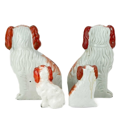 484 - A pair of Staffordshire figures of Spaniels. With liver and white markings, height 24cm, together wi... 