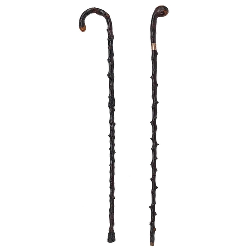 89 - An early 20th century Irish blackthorn walking cane. With inscribed silver band Presented to S.A.S C... 