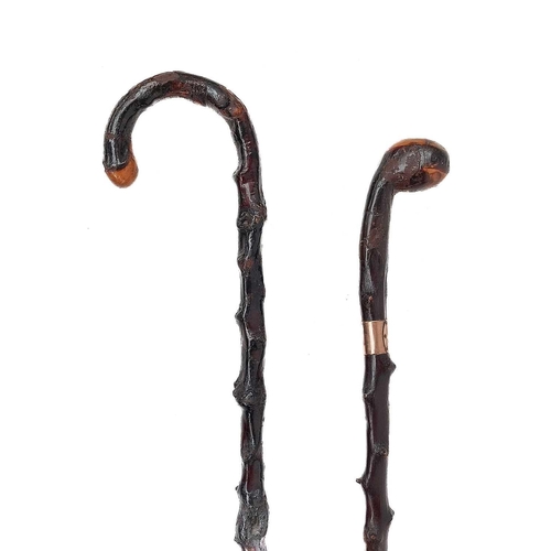 89 - An early 20th century Irish blackthorn walking cane. With inscribed silver band Presented to S.A.S C... 