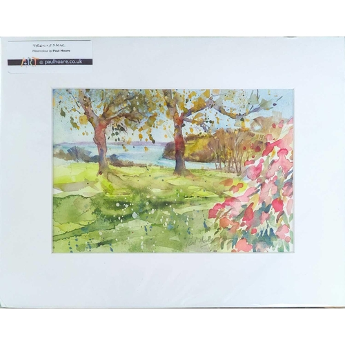 152 - Paul HOARE (XX-XXI) Trelissick Gardens Watercolour, signed, 17 x 25cm.