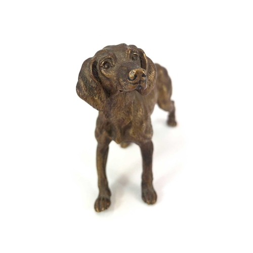 183 - An Austrian bronze model of a standing hound circa 1900, Height 9.5cm.