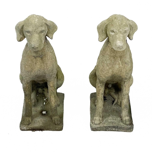 363 - A pair of reconstituted stone Labradors Height 72cm, width 25.5cm, depth 42cm.