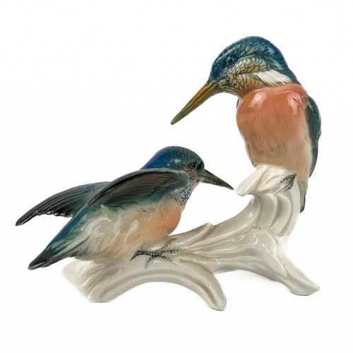 508 - A collection of Carlens ceramic birds. To include a pair of kingfishers, plus five others, the talle... 