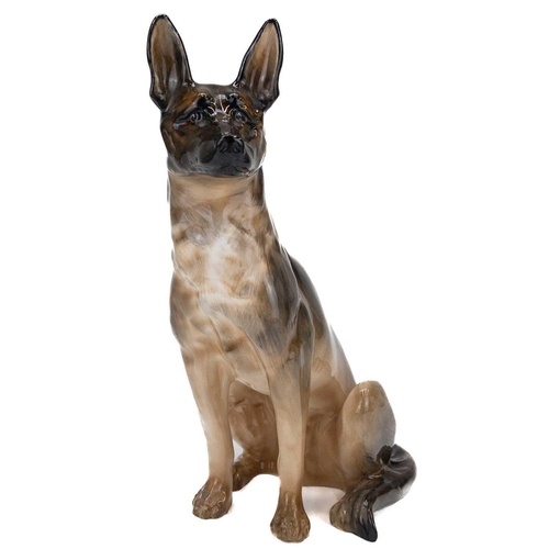 542 - A Royal Doulton figure of a seated Alsatian or German Shepherd HN921 Modelled with pricked ears, pai... 