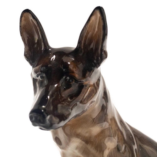 542 - A Royal Doulton figure of a seated Alsatian or German Shepherd HN921 Modelled with pricked ears, pai... 