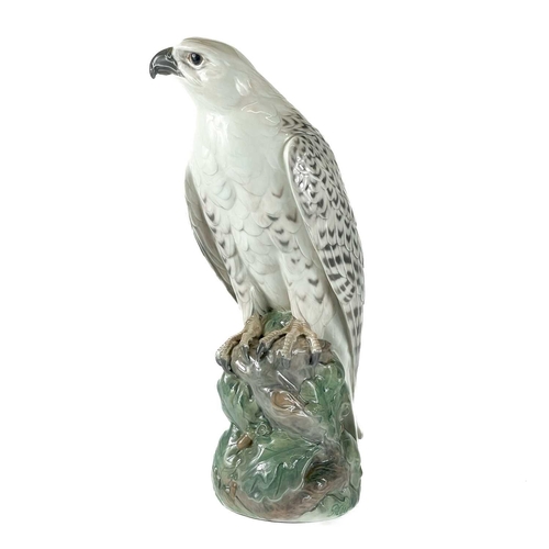 586 - A Royal Copenhagen porcelain figure of an Icelandic Falcon, Height 40cm, model number 1661.