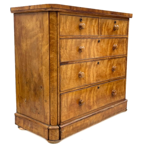 706 - A Victorian satin birch chest. Fitted two short and three long drawers, the lower drawer incorporati... 