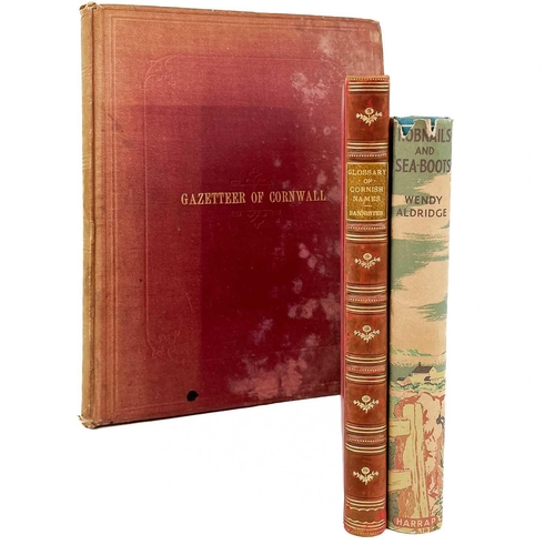 108 - Cornwall Interest A Glossary of Cornish Names Modern, Local, Family, Personal, Etc., 20,000 Celtic a... 