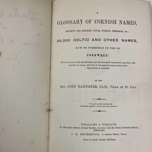 108 - Cornwall Interest A Glossary of Cornish Names Modern, Local, Family, Personal, Etc., 20,000 Celtic a... 