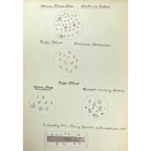 111 - Two Early 20th Century Sketchbooks COURSE OF EXPERIMENTAL PHYSIOLOGY By George Balsillie (1914) Univ... 