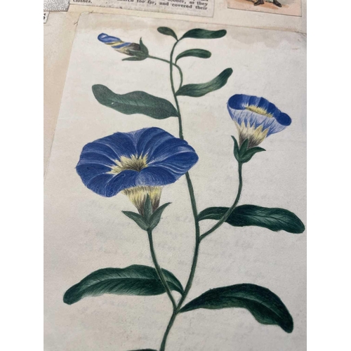 74 - A Victorian Scrap Album Contemporary half maroon leather with marbled boards, over a hundred pages p... 