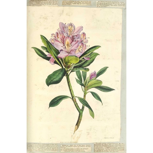 74 - A Victorian Scrap Album Contemporary half maroon leather with marbled boards, over a hundred pages p... 