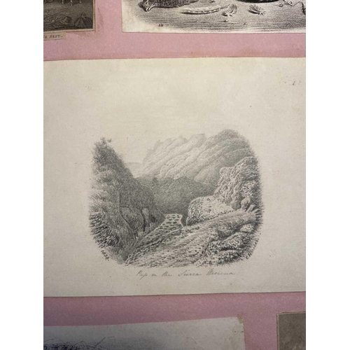 74 - A Victorian Scrap Album Contemporary half maroon leather with marbled boards, over a hundred pages p... 