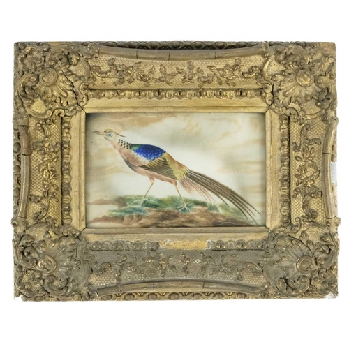 Lot 16        
