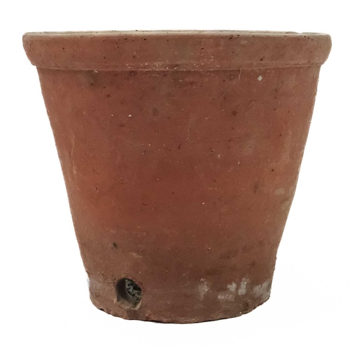 527 - A collection of eight terracotta flower pots. Height 23cm.