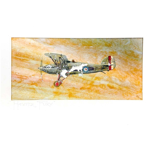 242 - Military Coldstream Guards and Hawker Aeroplanes artwork (x2) - total 3 items Comprising: 1: Signed ... 