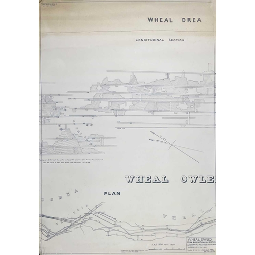 163 - Botallack Mine, St Just, Cornwall.  Facsimile prints. Surveys and plans Wheal Owles Plan & Longitudi... 