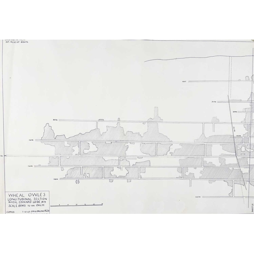 163 - Botallack Mine, St Just, Cornwall.  Facsimile prints. Surveys and plans Wheal Owles Plan & Longitudi... 