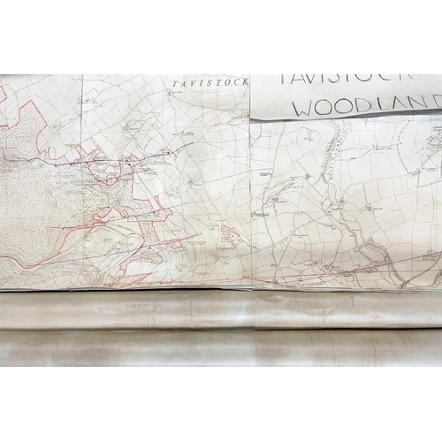 165 - 'Ding Dong Mine, Tavistock,' Hand drawn cross sectional of Dyers Shaft on tracing paper, scale 1 inc... 