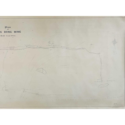 165 - 'Ding Dong Mine, Tavistock,' Hand drawn cross sectional of Dyers Shaft on tracing paper, scale 1 inc... 