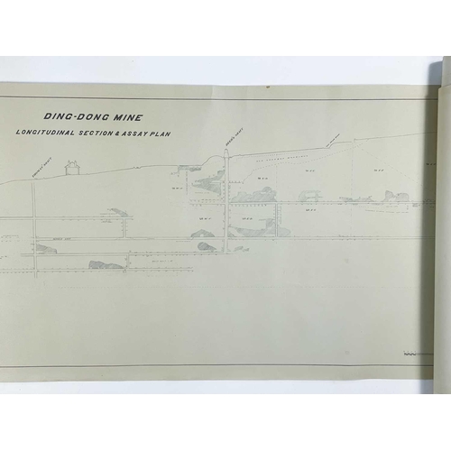 165 - 'Ding Dong Mine, Tavistock,' Hand drawn cross sectional of Dyers Shaft on tracing paper, scale 1 inc... 