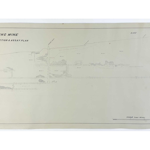 165 - 'Ding Dong Mine, Tavistock,' Hand drawn cross sectional of Dyers Shaft on tracing paper, scale 1 inc... 